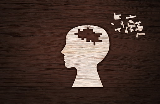 World Intellectual Property Organization